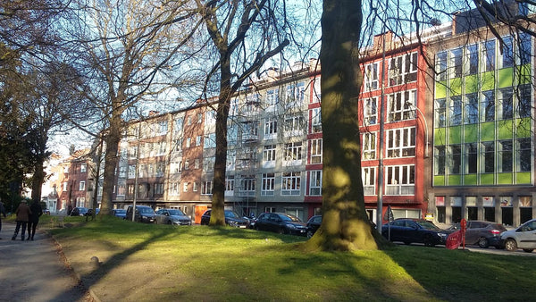 Lichtrijk rustgevend appartement. Zowel vooraan als achteraan uitkijkend op het  Belgium Kamer met terras in ruim en lichtrijk appartement Private room in rental unit vacation rental 40666799