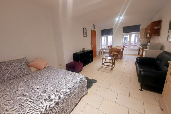 Ce logement parfaitement situé offre un accès facile à tous les sites et commodi  Studio en plein cœur du centre de Bruxelles Entire rental unit vacation rental 680225295387813500