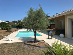 Cette maison très lumineuse de 110 m2 donne sur un jardin arboré et clôturé de 8  Maison 6 pers à 20 min de Bordeaux et Lacanau Entire home vacation rental 31616593