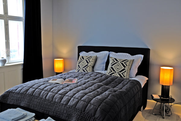 Lejligheden har et stort soveværelse, en stue med spiseplads, et dejligt badevær  Central beliggenhed i gammelt renoveret byhus-Blue Entire rental unit vacation rental 566352066346120322