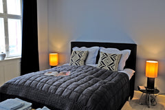 Lejligheden har et stort soveværelse, en stue med spiseplads, et dejligt badevær  Central beliggenhed i gammelt renoveret byhus-Blue Entire rental unit vacation rental 566352066346120322