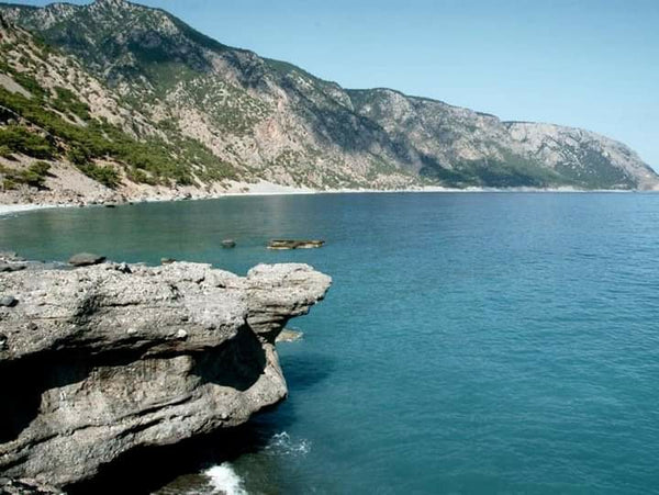 Όμορφο και άνετο ανακαινισμένο παραδοσιακό σπίτι με όλες τις ανέσεις για να είνα Czechia Kati's Lair 2 / Το σπίτι του