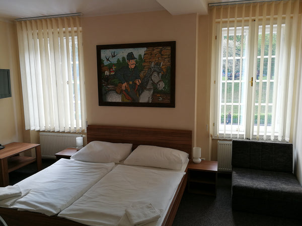 Penzion U Švejků se nachází v historické čtvrti Praha 1, přímo u tramvajové zast Prague, Czechia Penzion U Švejků - pokoj 2 Private room in bed and breakfast vacation rental 45170117