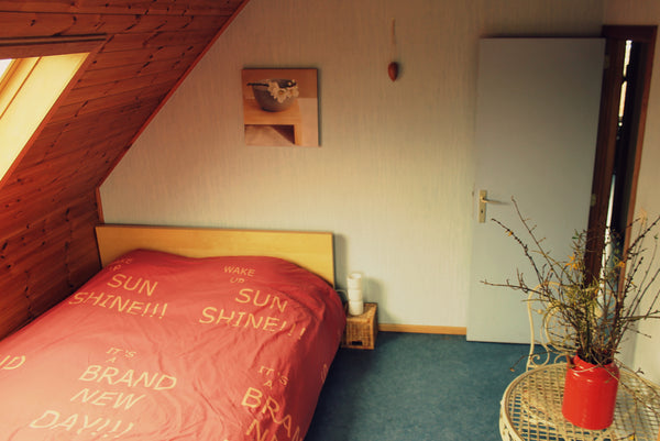 Gezellige ruime kamer in huis met tuin. Badkamer, yogakamer, bureau met eigen TV Ghent, Belgium Gezellige kamer Private room in home vacation rental 11520446