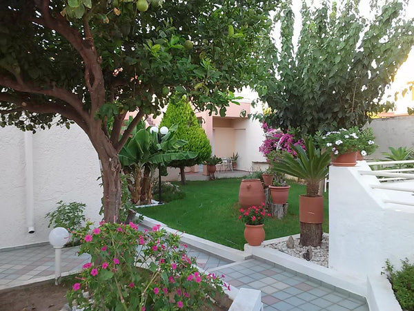 Enjoy a relaxing getaway in the village of Platanes, about 5km from the town of  Rethimnon, Greece Cozy Garden View Apartment 600m from Sandy Beach Entire rental unit vacation rental 12464254