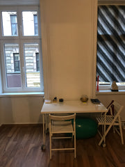Small flat,very minimalism but cosy, bathroom and kitchen are the same room. Vienna, Austria Nice, cosy flat Entire rental unit vacation rental 41363792