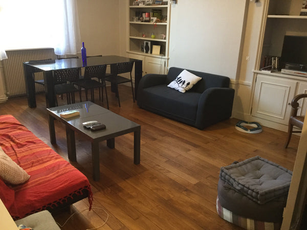 Une chambre dans un joli appartement refait récemment à neuf. <br /><br />L'appa Lyon, France Chambre dans joli appartement ! Private room in rental unit vacation rental 15126403