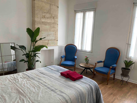 Je vous propose de partager avec moi-même une échoppe typique bordelais de 100m2 Bègles, France 2 chambres privées dans une échoppe Bordelaise Private room in townhouse vacation rental 497881500679691961