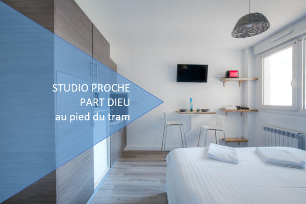 This charming and fully renovated 20sqm studio, located in a secured building, o Lyon, France Modern and bright studio - Lyon Entire rental unit vacation rental 20300500