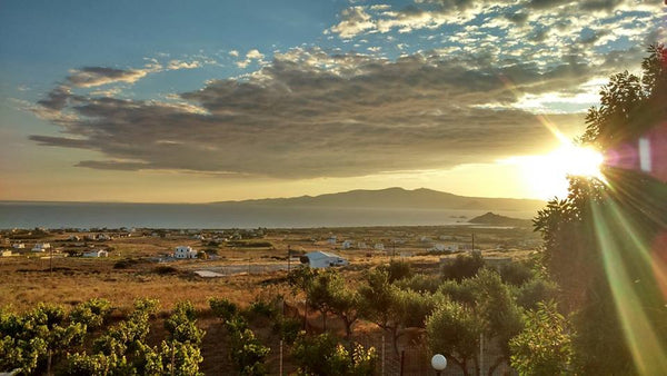 Στο Καστράκι της Νάξου, 13χιλ. από το λιμάνι και τη Χώρα , δίπλα σε όλες τις νοτ Naxos, Greece Marakis Place Entire home vacation rental 27045772