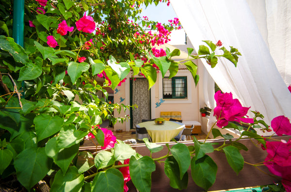 It’s a beautiful family house! It is in a quiet neighborhood with a front yard f Kissamos, Greece Laura's house Entire home vacation rental 18504403