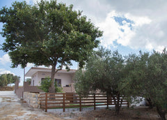 Platanus House is a completely renovated 55qm house overlooking Kissamos Bay and Chania, Greece Platanus House - NEW Entire home vacation rental 34255076