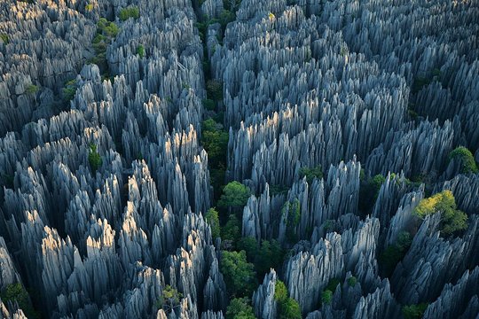 1 Day Stone Forest & Jiuxiang Cave Tour  Private Tours and Travel Guide Asia Shanghai CITY Kunming Destination Tour