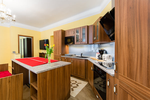 Let me propose you my completely reconstructed apartment 