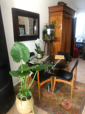 Logement 65 m2. Petite chambre Jasmin avec terrasse végétale. Cour devant avec p Talence, France TALE 33 maison avec jardin Entire townhouse vacation rental 52568266