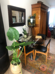 Logement 65 m2. Petite chambre Jasmin avec terrasse végétale. Cour devant avec p Talence, France TALE 33 maison avec jardin Entire townhouse vacation rental 52568266