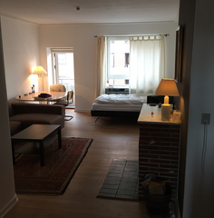 Hi :)<br />Cosy and Quiet 60 square metre apartment only 10 minutes from midtown Frederiksberg, Denmark Cosy and spacey apartment! Entire condo vacation rental 16397010
