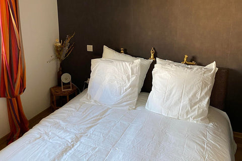 Quiet independent studio of 20m² adjoining the house with bathroom, toilet and p Bègles, France Bordeaux/Bègles - Charmant studio indépendant Entire townhouse vacation rental 53670249