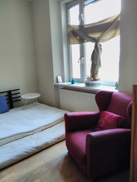 Eine schöne kleine Wohnung mit guter Verkehrsanbindung (U-Bahn, Straßenbahn, Bus Vienna, Austria Light and friendly apartment, 50 m2 Entire rental unit vacation rental 18762832