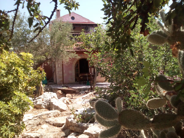 Hello! We are Costas and Athina, a couple who enjoys hosting people tranquil hom Chania, Greece Plakoura traditional stone house, Plaka Chania Entire home vacation rental 14142972