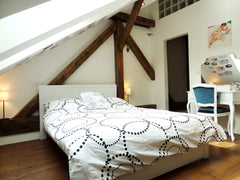 Two cute and cosy attic bedrooms with double beds can accomodate up to 4 persons Prague, Czechia Cozy attic apartment for 4 persons Entire loft vacation rental 995953