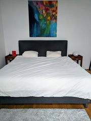 Spacious, tidy and with character. This is our quiet home with a small terrace,  Vienna, Austria Space, light & joy, for both lazy & sophisticated Private room in rental unit vacation rental 24038500