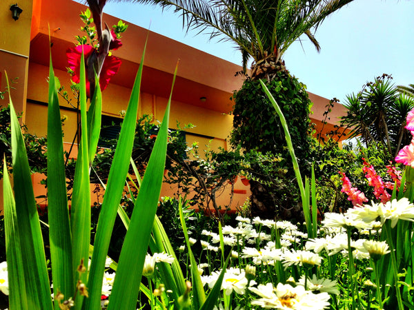 The apartments are in a quiet area surrounded by a flower garden just 50 meters  Rethimnon, Greece Chrissas Apartments by the beach Entire rental unit vacation rental 11837571