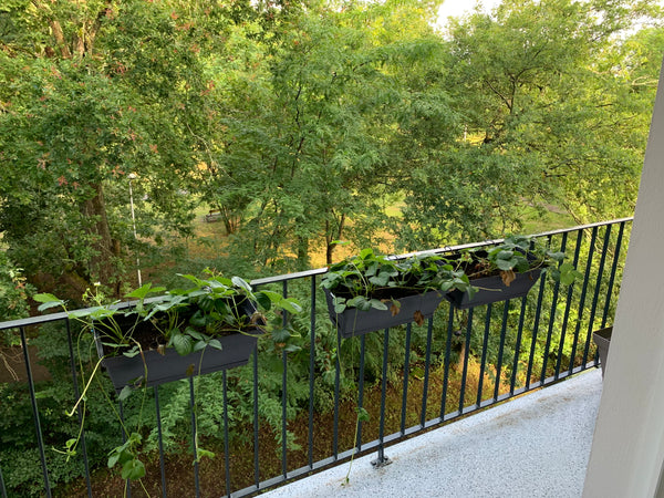 T2 au calme avec vue sur Parc, Tram B vers Bordeaux au pied de la résidence. Pla Cadaujac, France Superbe appartement de 50m2 avec vue sur parc Entire rental unit vacation rental 613084850105366448