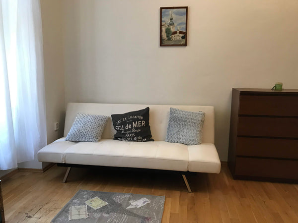 Newly furnished flas in second floor situated in centre of Prague, 100meters fro Prague, Czechia Opletalova st. Apartment 2B Private room in rental unit vacation rental 17632268