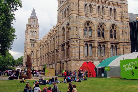 A Day at the Museum Natural History Museum London  Private Tours and Travel Guide Europe London CITY London Destination Tour