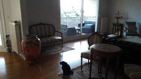 Apparemment  avec terrasse  chambre  et salle de bain privee  Chambre et salle de bain terrasse Private room in rental unit vacation rental 29619704