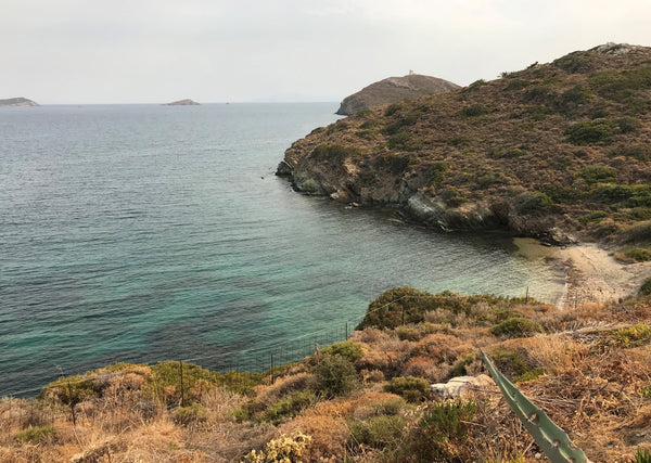 Small independent guesthouse with adjacent bathroom. Private access to beach (5  Athens, Greece Ariadne Guesthouse Entire guesthouse vacation rental 27243931