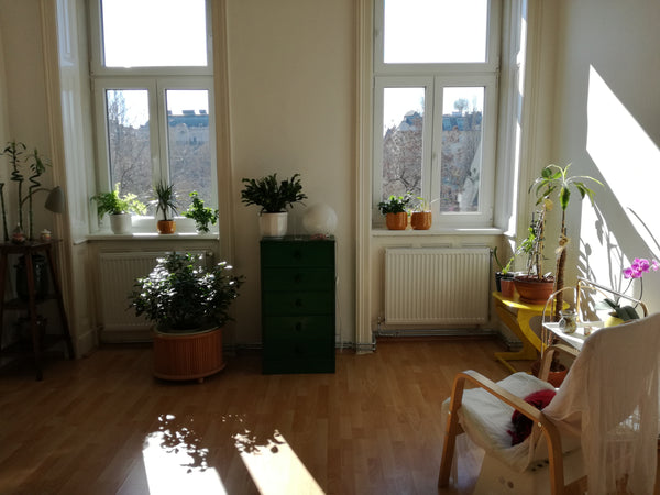 Die Wohnung ist im 2. Stock, hat 50qm mit zwei Zimmern, Küche, Badezimmer und ei Vienna, Austria Liebevolleingerichtete Wohnung Donaukanalblick Entire rental unit vacation rental 17990075