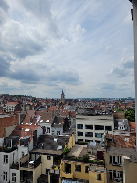 Appartement au 7ème étage avec vue sur la ville, 4 couchages (lit double + canap Ixelles, Belgium Entre Gare du midi et Louise  Appart avec vue Entire rental unit vacation rental 625175210906039640