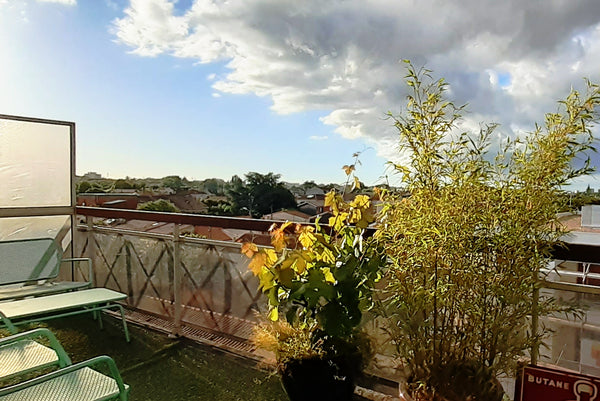 Petit déjeuner sur la terrasse ensoleillée de l'appartement T2 climatisé, puis v  Mon petit rooftop T2 à Bordeaux St Augustin Entire rental unit vacation rental 50027125