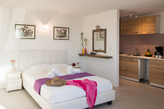 Studio  for two/four guests (upon request)  on the ground floor with garden view  Summer  studio Cycladic home vacation rental 31183627