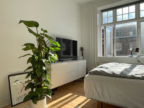 Stylish, bright and quiet apartment located in the hippest part of the city, whe Copenhagen, Denmark Cosiest Copenhagen flat close to airport and parks Entire condo vacation rental 701376372450846116