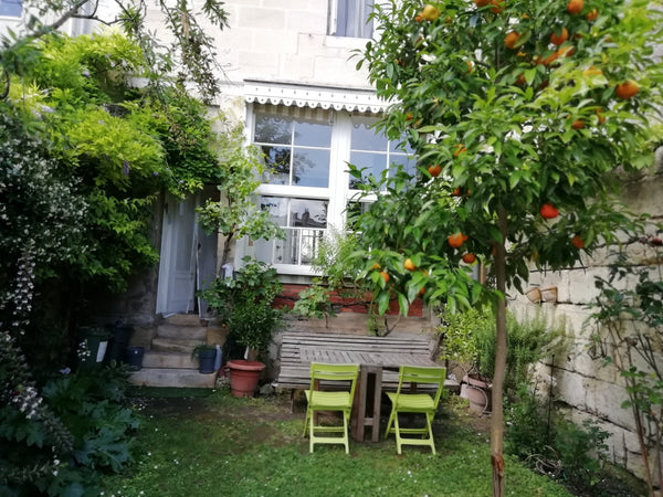 La maison a gardé ses prestations anciennes, carreaux de ciment, fenêtres à guil Bordeaux, France Bordeaux-centre maison clim 3 ch   jardin+parking Entire home vacation rental 1211924