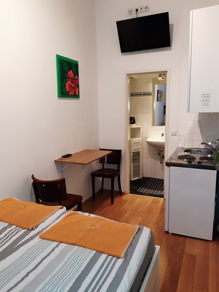 Apartment Kisha - small but cosy Entire rental unit vacation rental 45245833