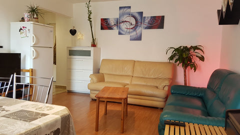 Appartement de 54m2, tout près de la Place Montplaisir et de la très commerçante Lyon, France Appartement T2 Grange Blanche proche métro D Entire rental unit vacation rental 17458390