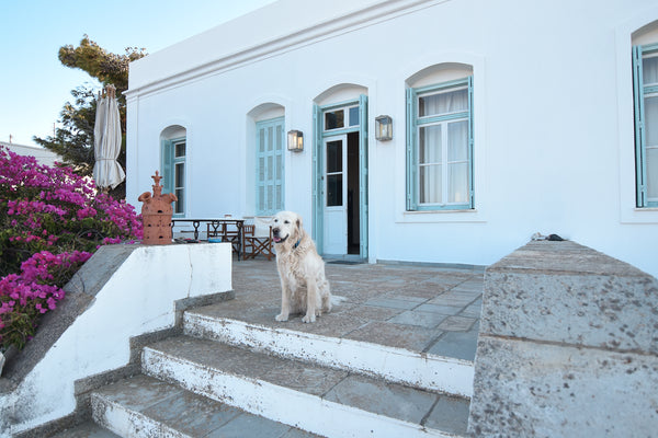 Built as a wealthy captain’s mansion at the end of the 19th century, this villa  Thessaloniki, Greece Captain's Mansion Sifnos Entire villa vacation rental 41679684