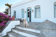Built as a wealthy captain’s mansion at the end of the 19th century, this villa  Thessaloniki, Greece Captain's Mansion Sifnos Entire villa vacation rental 41679684