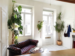 Appartement T2 coquet de 34m2, beaux volumes & hauteur sous plafond, dans petit  Bordeaux, France Appartement T2 coquet proche quartier historique Entire rental unit vacation rental 28126137