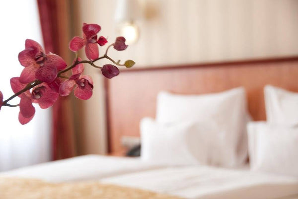Self Check In and Check Out accommodation<br />Convenient and secure self-servic  Single Room -  non refundable - room only Private room in pension vacation rental 28481677