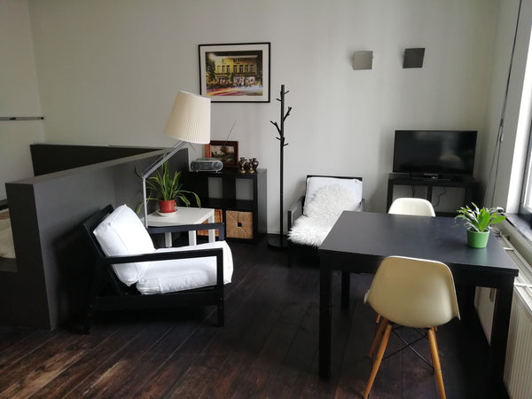 Enjoy wonderful Ghent in a beautiful house facing the river ' the Leie', where b Ghent, Belgium Business or travel studio,  central quiet location Entire rental unit vacation rental 44426709