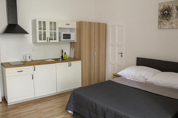 Very cozy studio within walking distance from the center of Prague (about 5-7 mi Prague, Czechia Nice and comfortable Studio apatment (1-kk) Entire rental unit vacation rental 43795440