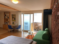 Eine charmante,  gemütliche,  neurenovierte geräumige Wohnung  in einem Haus aus Vienna, Austria QuietArt  Living 2 Entire rental unit vacation rental 33415764