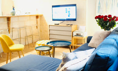 Beautiful two bedroom apartment of 65m2 freshly renovated, on the 1st floor of a Bordeaux, France Beautiful Apartment Bordeaux grand théâtre Entire rental unit vacation rental 32483383