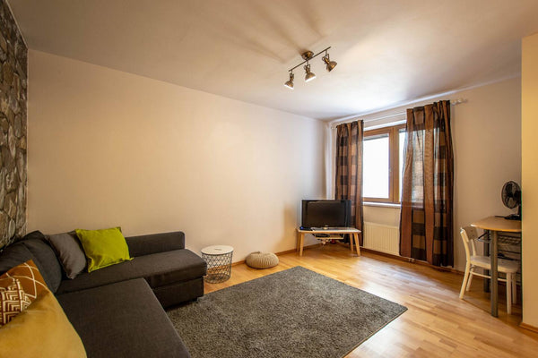 All our apartments are cleaned by professionals following the 5-step enhanced cl Prague, Czechia Spacious Studio in Prague's Tastiest Area Entire rental unit vacation rental 44653927