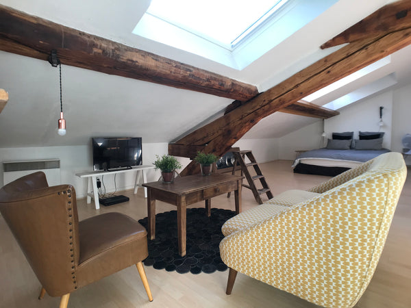 A deux pas du quartier très animé Confluence, vous apprécierez la décoration soi Lyon, France Loft Lyon Presqu'Ile Confluence - 2ème arrdt Entire loft vacation rental 21542246